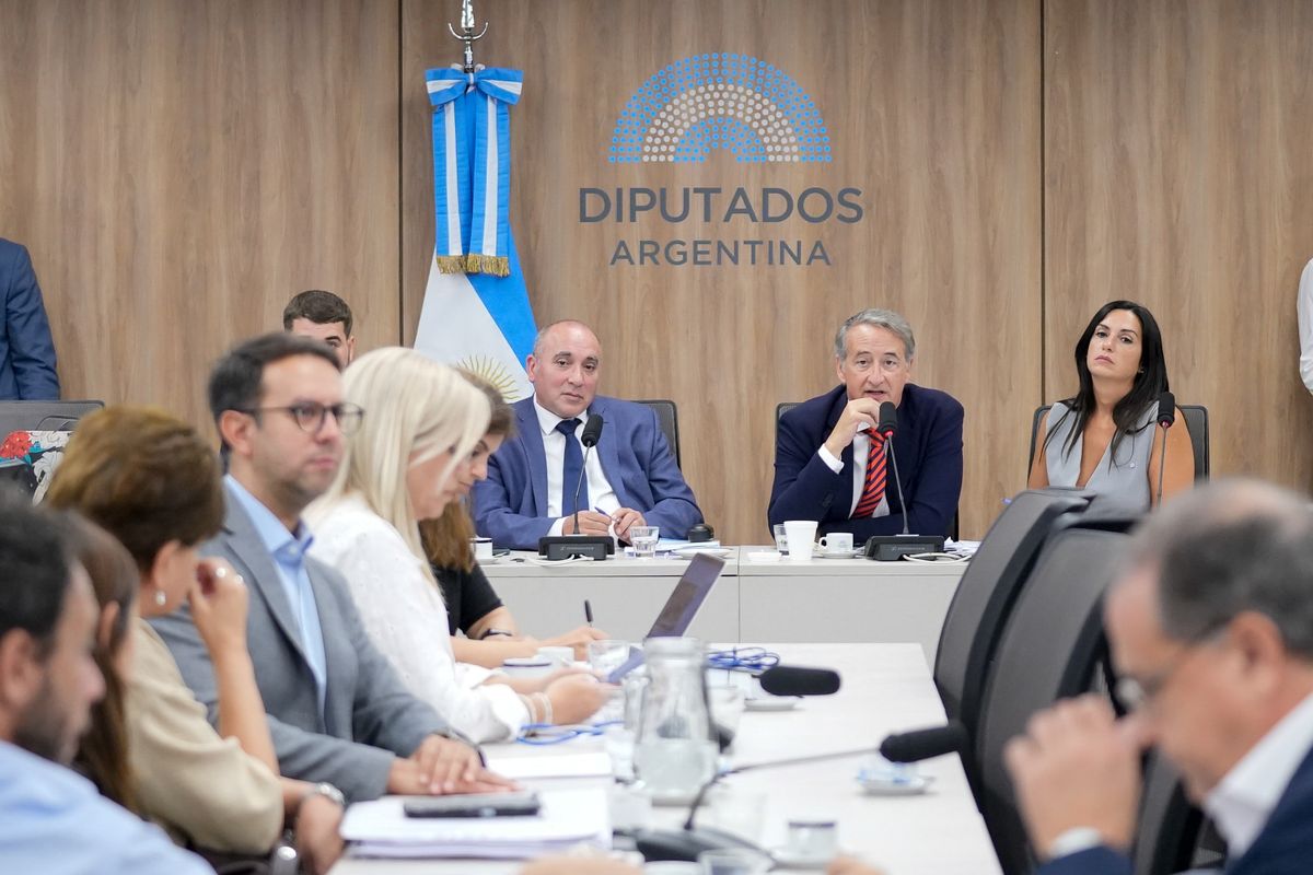 Se empezó a debatir la Ley de Glaciares en Diputados.