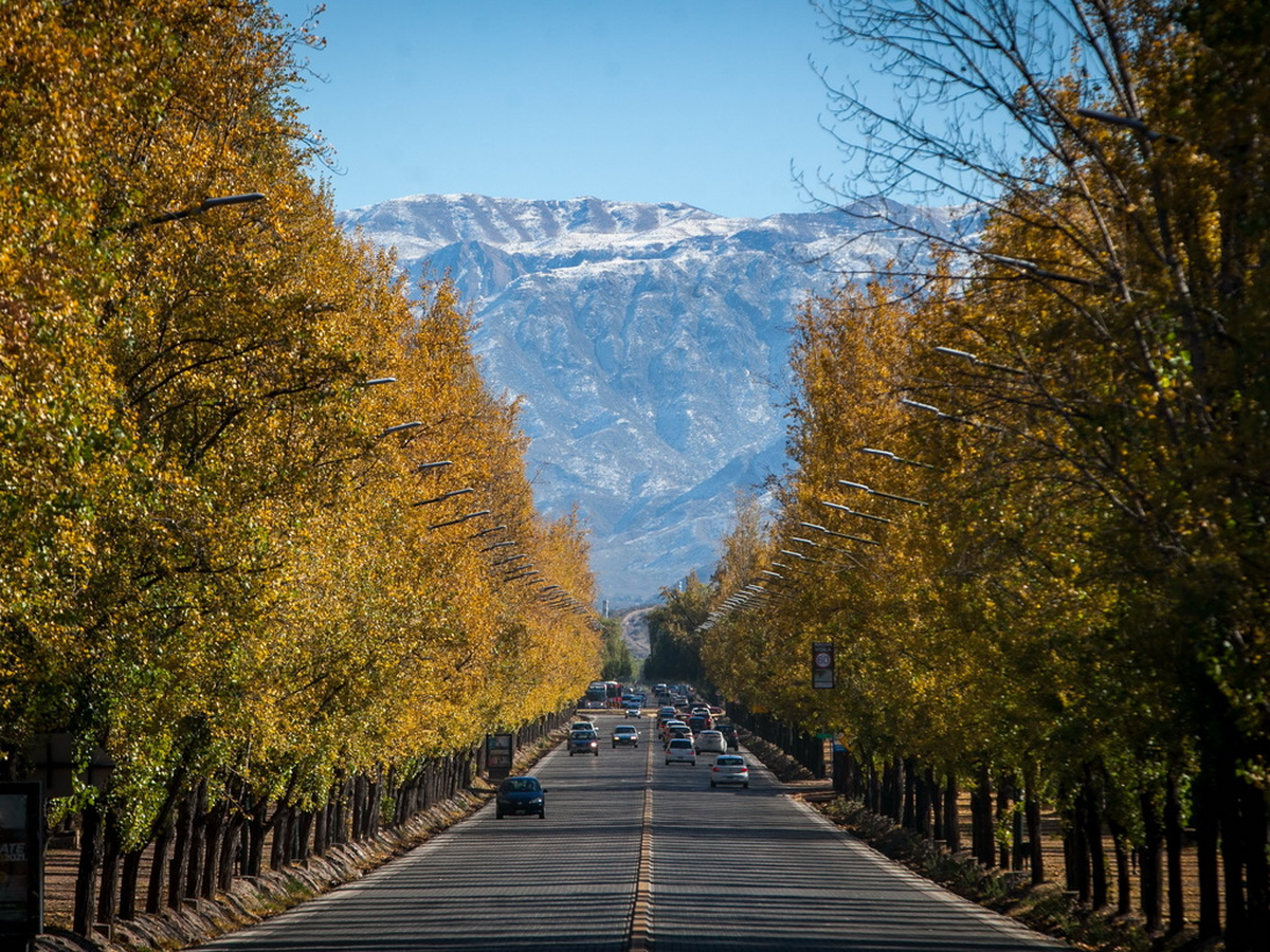 Mendoza cuenta con las bodegas y viñedos más espectaculares del país para el turismo.