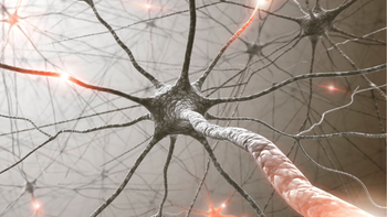 Parkinson: El CONICET revela algo trascendental y hasta ahora desconocido