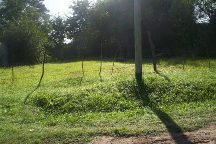 Los terrenos baldíos particulares en la mira.