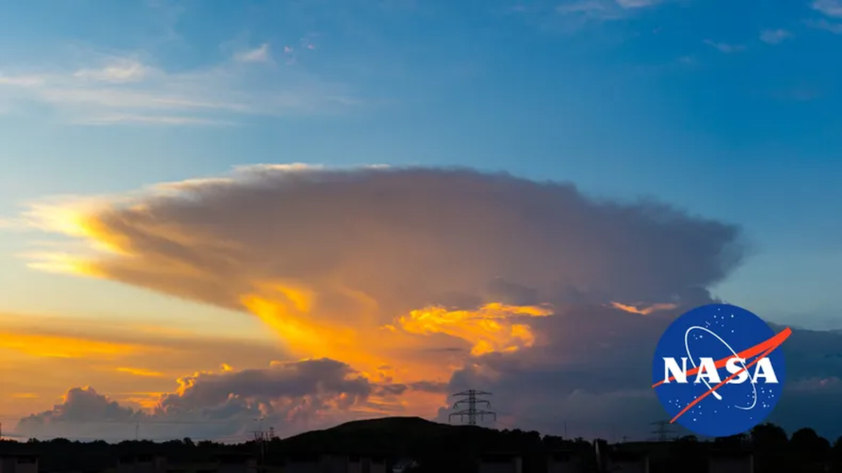 ¿De qué se trata todo esto? ¿Es una broma? ¿De qué se trata todo esto? ¿Es una broma?