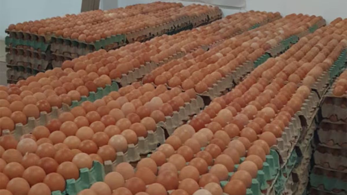 Los Bancos de Alimentos Argentina y CAPIA firmarán un acuerdo para la donación de 700.000 huevos en todo el país. Los Bancos de Alimentos Argentina y CAPIA firmarán un acuerdo para la donación de 700.000 huevos en todo el país.