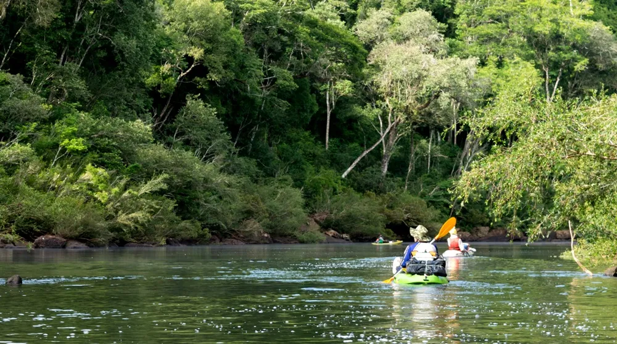 Una experiencia única para aquellos que se animen a visitar la Amazonía peruana.