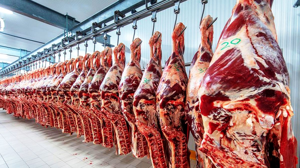 Cayó el consumo de carne más que los precios en diciembre. El gobierno sigue el tema de cerca