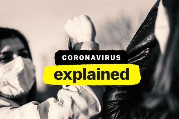 Coronavirus, Explained: lo nuevo de Vox y Netflix.