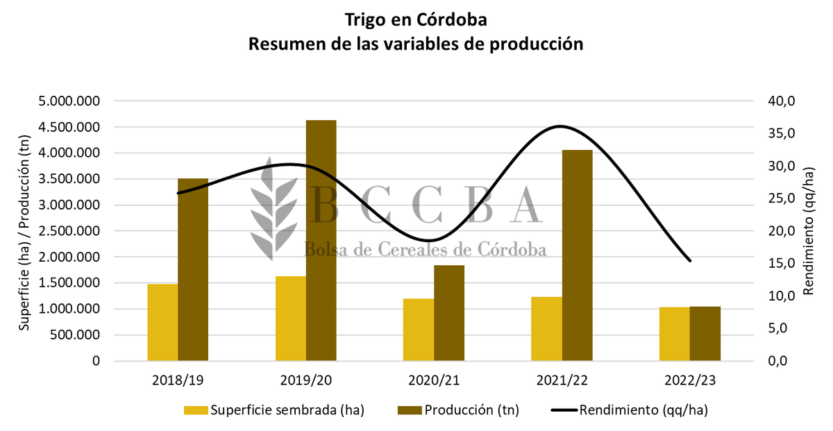 Las variables de producción de Trigo según el informe de la Bolsa de Cereales de Córdoba