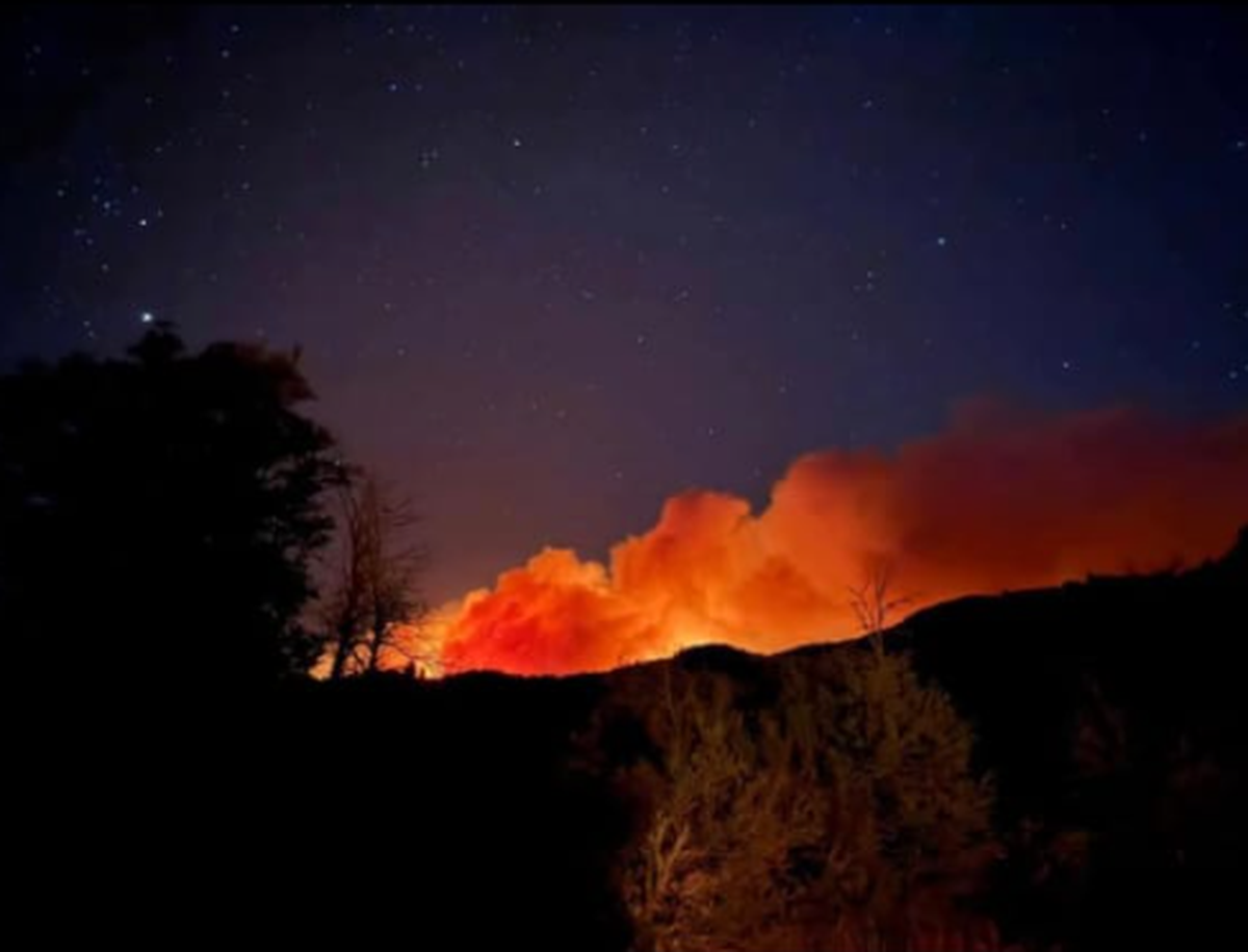 Rige la alerta de incendios para todo el país, especialmente para la Patagonia. Rige la alerta de incendios para todo el país, especialmente para la Patagonia.
