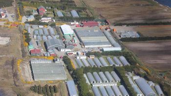 El 'Proyecto Invernadero', la apuesta de Malvinas para el autoabastecimiento alimentario