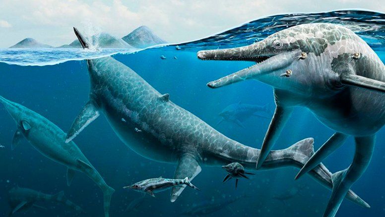 Ciencia: El reptil marino más grande jamás visto: 25 metros de terror