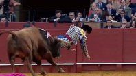 El momento exacto en que el toro embiste a Morante de la Puebla durante la corrida en la plaza de toros de La Maestranza de Sevilla, el incidente que dejó al torero en grave estado. El momento exacto en que el toro embiste a Morante de la Puebla durante la corrida en la plaza de toros de La Maestranza de Sevilla, el incidente que dejó al torero en grave estado.