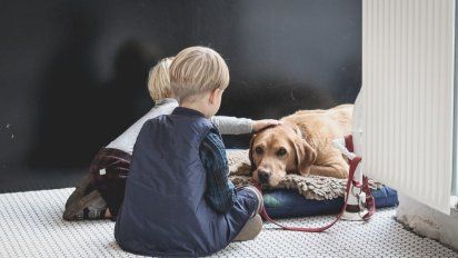 Desesperación en Villa Elisa: Familia lucha por retener perros vitales para sus hijos discapacitados