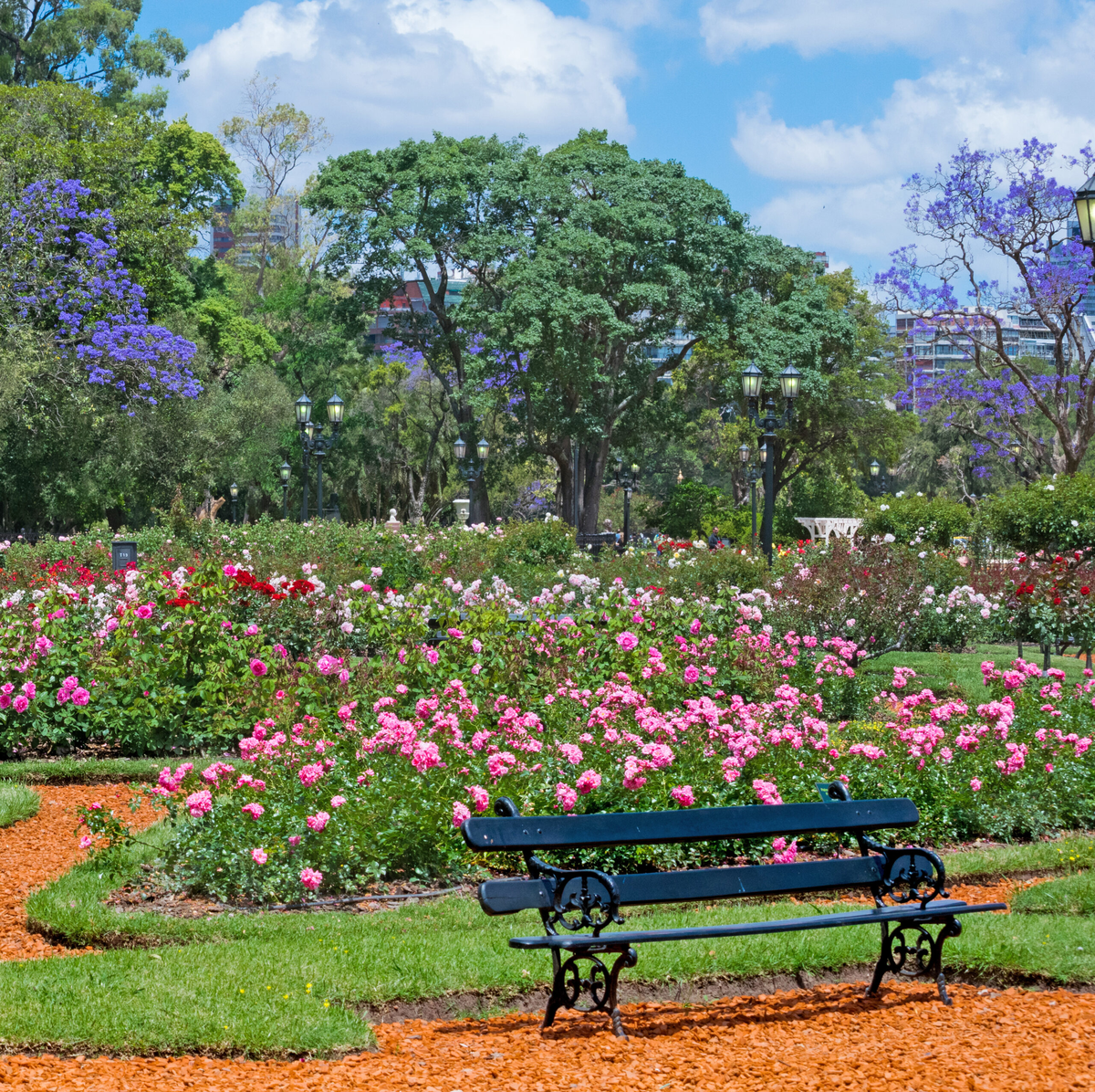 Para aquellos amantes de las plantas y flores, un paseo imperdible es un recorrido por el Rosedal de Palermo.