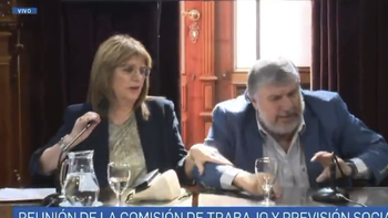 Tensión máxima en el Senado: Gritos, acusaciones y un choque frontal entre Mayans y Bullrich