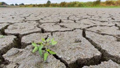 Nación declaró la emergencia agropecuaria pero Córdoba cuestionó la ayuda
