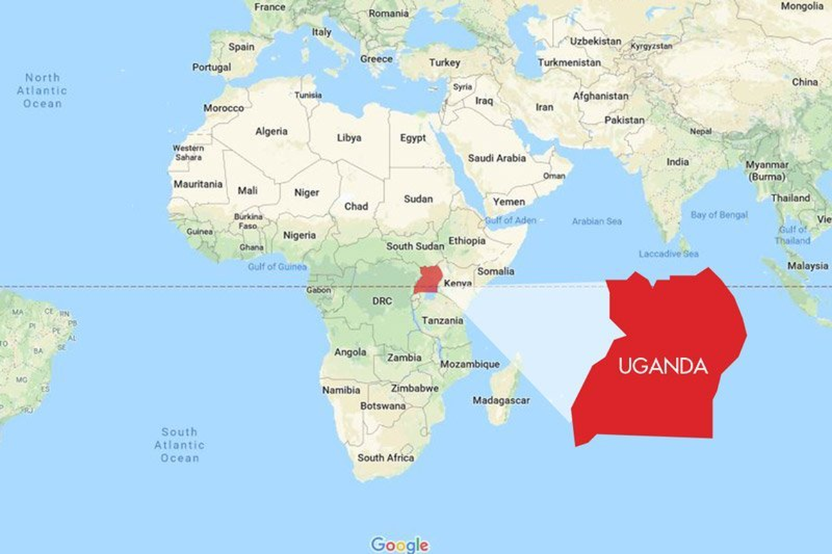 Ante la escasez de suministros de vacunas y de oxígeno, la población de Uganda recurrió a preparaciones de hojas, tallos o raíces de hierbas para curar la COVID-19.