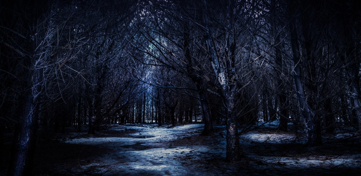 Para muchos, la hipótesis del bosque oscuro tiene bastante mérito propio. Para muchos, la hipótesis del bosque oscuro tiene bastante mérito propio. 