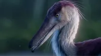 Kanka australis, el nuevo dinosaurio de Argentina que impresiona a la ciencia. Kanka australis, el nuevo dinosaurio de Argentina que impresiona a la ciencia.