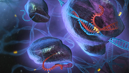 Preventive, startup financiada por figuras de Silicon Valley busca comercializar tecnologías genéticas reproductivas. Armstrong impulsó la iniciativa, e incluso propuso un plan para trabajar en secreto y presentar un bebé modificado antes de que el establishment científico pudiera objetar, según The Wall Street Journal. Preventive, startup financiada por figuras de Silicon Valley busca comercializar tecnologías genéticas reproductivas. Armstrong impulsó la iniciativa, e incluso propuso un plan para trabajar en secreto y presentar un bebé modificado antes de que el establishment científico pudiera objetar, según The Wall Street Journal.