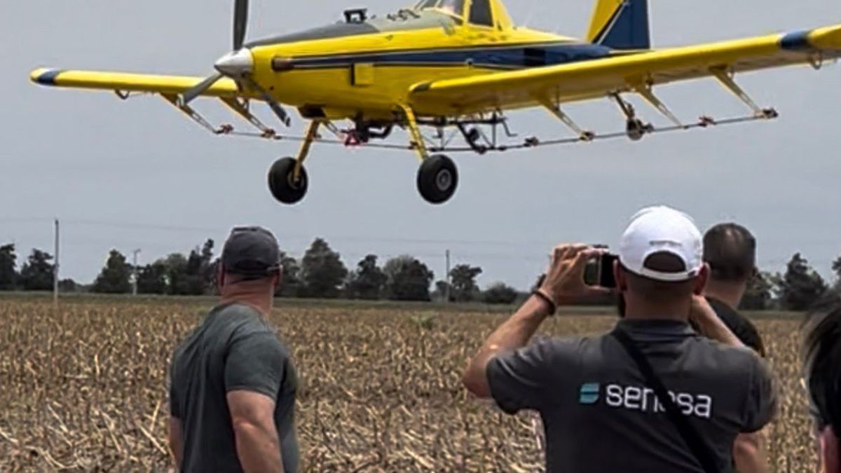 Argentina volvió a apostar a la tecnología con la implementación de los drones para terminar con la crisis de las langostas. Argentina volvió a apostar a la tecnología con la implementación de los drones para terminar con la crisis de las langostas.