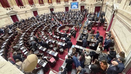 La Cámara de Diputados.&nbsp;