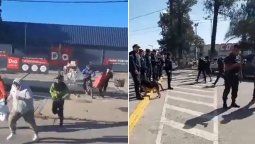 Videos en redes sociales sobre saqueos en José C. Paz.