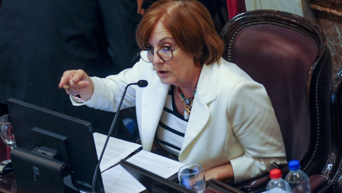 La senadora cordobesa Alejandra Vigo apuntó contra Alberto Fernández.