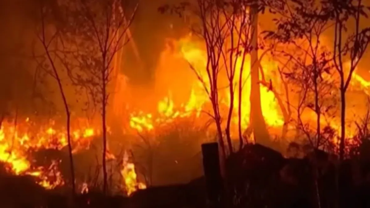 El chaqueo es en una de las principales causas de los devastadores incendios forestales. El chaqueo es en una de las principales causas de los devastadores incendios forestales.