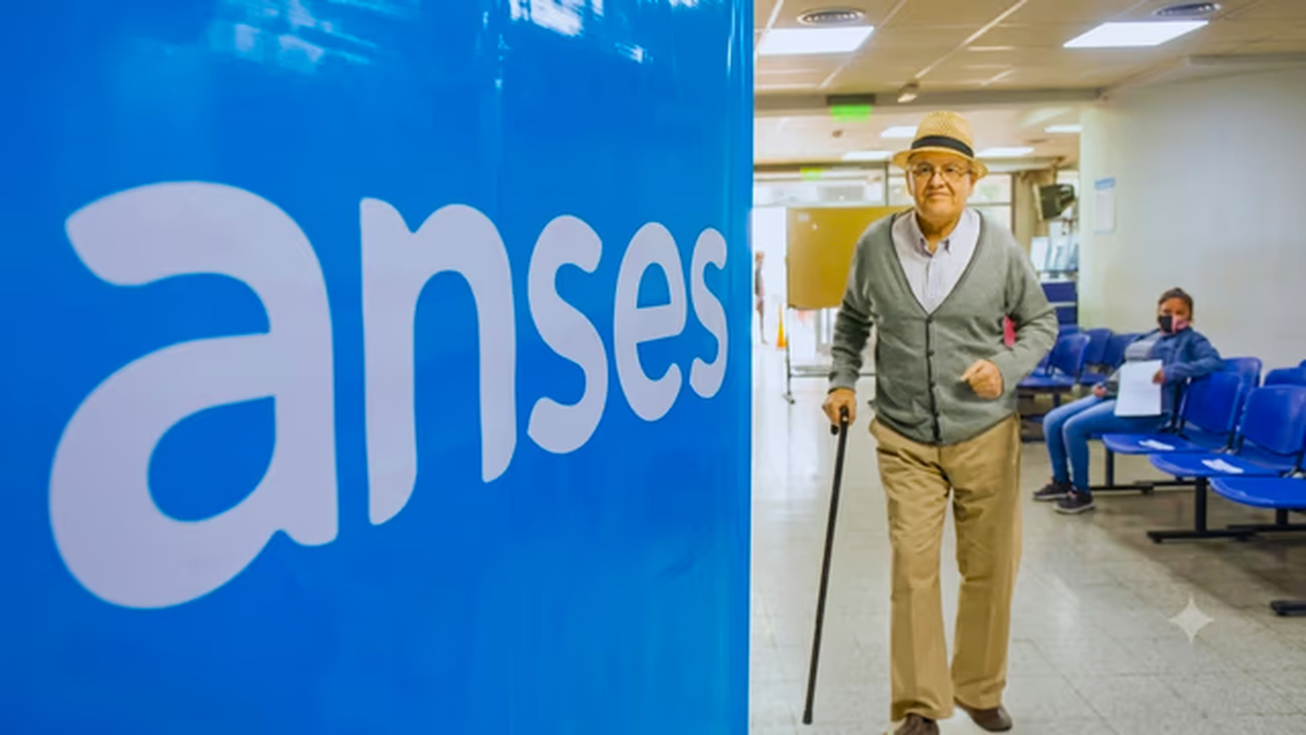 ANSES confirm&oacute; el aumento para la PUAM y PNC en noviembre.&nbsp;