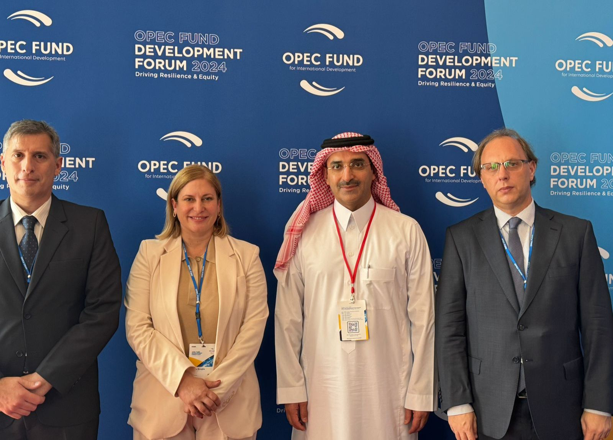 Misión institucional. Misión institucional. 