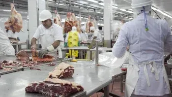 Resistencia productiva: Trabajadores luchan por salvar a un frigorífico del olvido