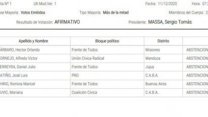 La diferencia estuvo en las 6 abstenciones: Aborto en Diputados con 14 votos de diferencia