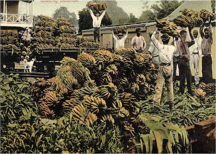 United Fruit Company es recordada por su explotación laboral en el departamento del Magdalena.