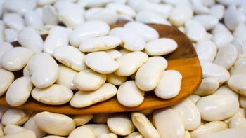 El primer poroteo en el Congreso no favorece a Javier Milei y su DNU. El primer poroteo en el Congreso no favorece a Javier Milei y su DNU.