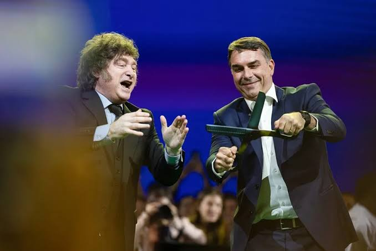 Sim&oacute;n Levy asegur&oacute; que Javier Milei particip&oacute; en la coordinaci&oacute;n de la salida de Fl&aacute;vio Bolsonaro. Habr&aacute; que ver si esa acusaci&oacute;n recibe explicaciones oficiales. Foto: EFE