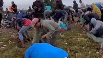 Vecinos roban las papas del camión volcado en Tucumán (Foto: Captura de Video) Vecinos roban las papas del camión volcado en Tucumán (Foto: Captura de Video)