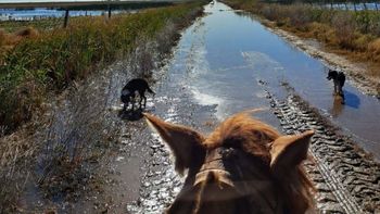Inundaciones en Santa Fe afectaron al 90% de la producción hortícola y subieron los precios