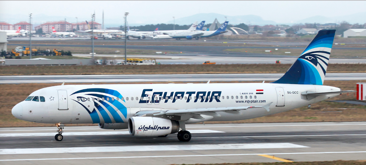 EgyptAir, la aerol&iacute;nea que planea llegar a Argentina.