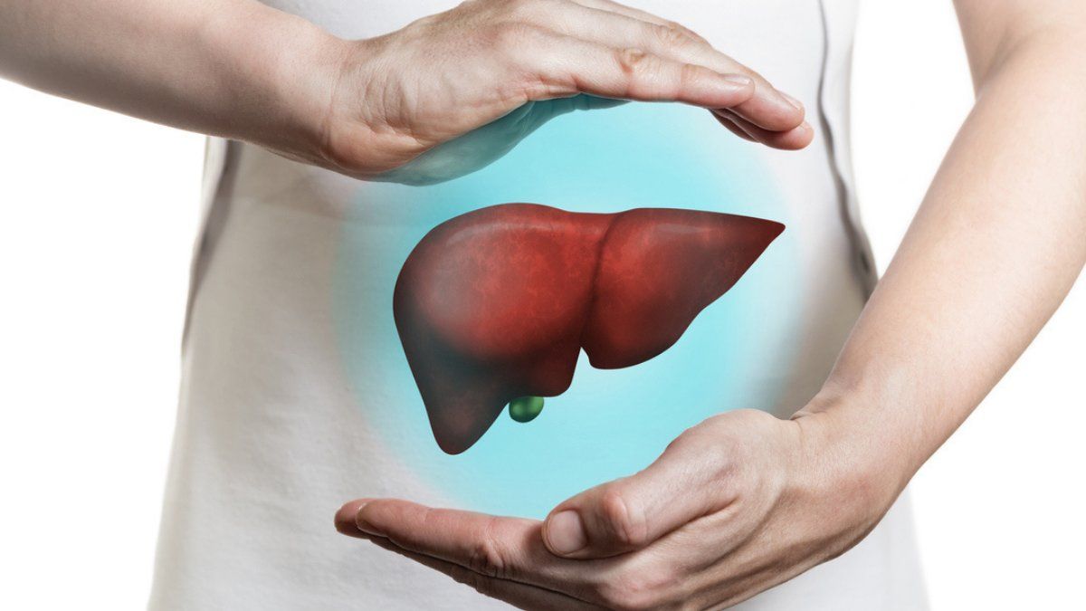 El té de hibisco tiene propiedades protectoras en el hígado. El té de hibisco tiene propiedades protectoras en el hígado.