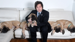 Versión periodística, no desmentida oficialmente, asegura que murió uno de los perros de Javier Milei. Versión periodística, no desmentida oficialmente, asegura que murió uno de los perros de Javier Milei.