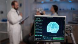 La conexión entre la energía de la Tierra y cerebro humano: La hipótesis que inquieta a la ciencia La conexión entre la energía de la Tierra y cerebro humano: La hipótesis que inquieta a la ciencia