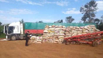 Efecto brecha y retenciones: Boom de contrabando de soja a Brasil y Paraguay