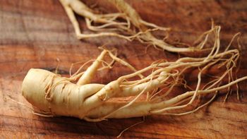 Ginseng para la memoria y cerebro: sus beneficios.