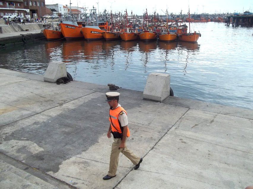 ¿Las personas murieron por falta de inversión en la Prefectura para este tipo de casos?