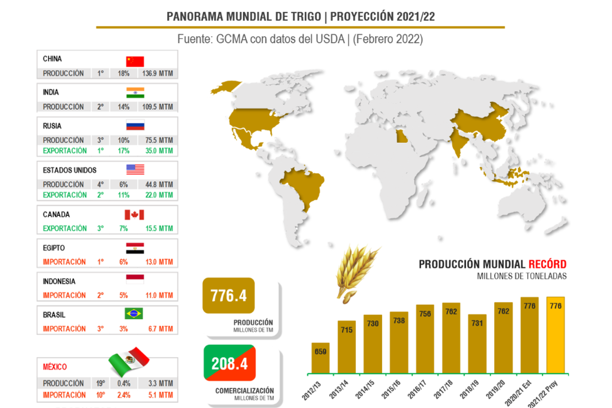 Ucrania desaparece de la producción. El trigo que le queda es el que está en silos.