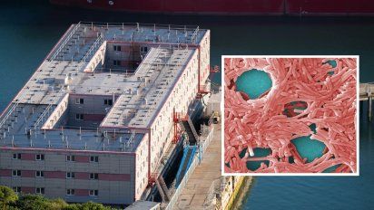 Evacuación del navío inmigrante 'Bibby' de UK por legionella