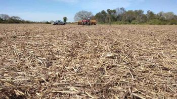 La sequía complica el último año de mandato de Alberto Fernández por menos ingresos de divisas La sequía complica el último año de mandato de Alberto Fernández por menos ingresos de divisas