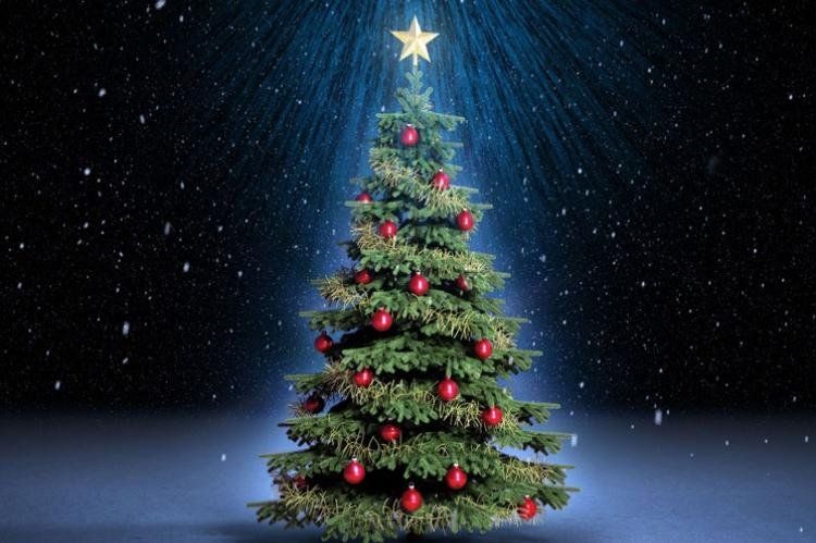 Armar un árbol clásico y decorar la casa rondará los $18.000