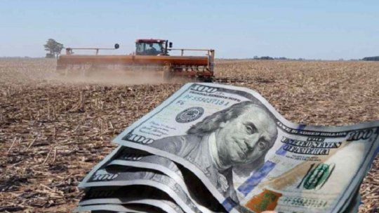 Noviembre con sequía de dólares del campo. Noviembre con sequía de dólares del campo.