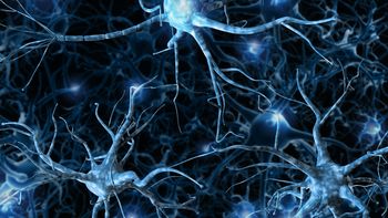 La atrofia muscular espinal es un problema de salud que requiere de un seguimiento integral. La atrofia muscular espinal es un problema de salud que requiere de un seguimiento integral.