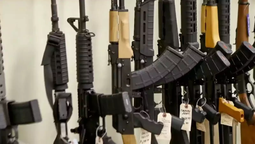 Armas semiautomáticas.